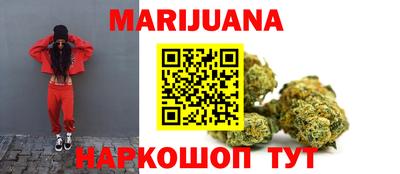 крисы Апшеронск